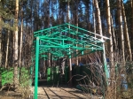 img11_35428.jpg
